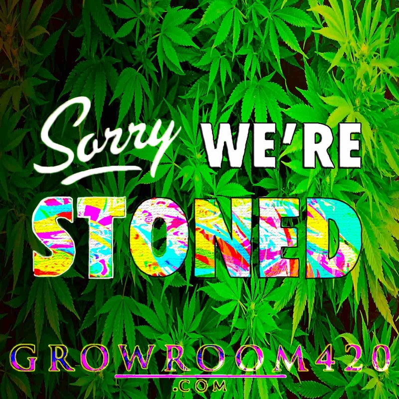 mn2 gr420 sorry we stoned