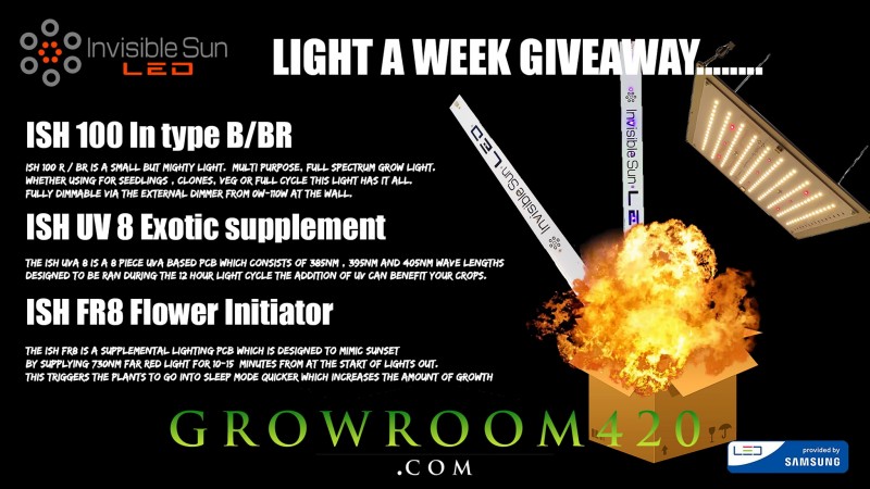 mn LIGHT GIVEAWAY ISH100 ad 1