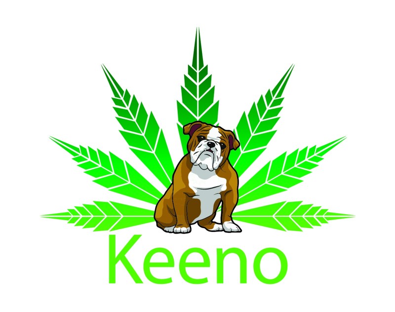 Keeno Logo_Final_JPG Version_150dpi-03