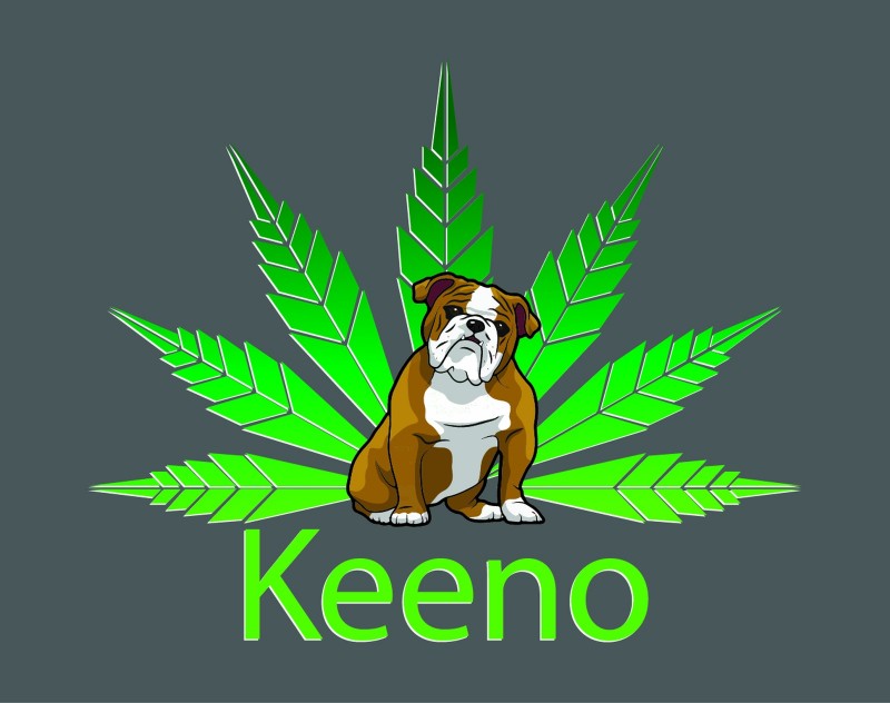 Keeno Logo_Final_JPG Version_150dpi-01