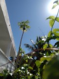 IMG_20230222_103351