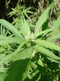 IMG_20230222_103908