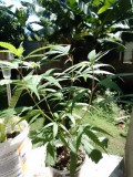 IMG_20230227_100315