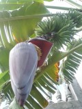 IMG_20230302_130041_HDR