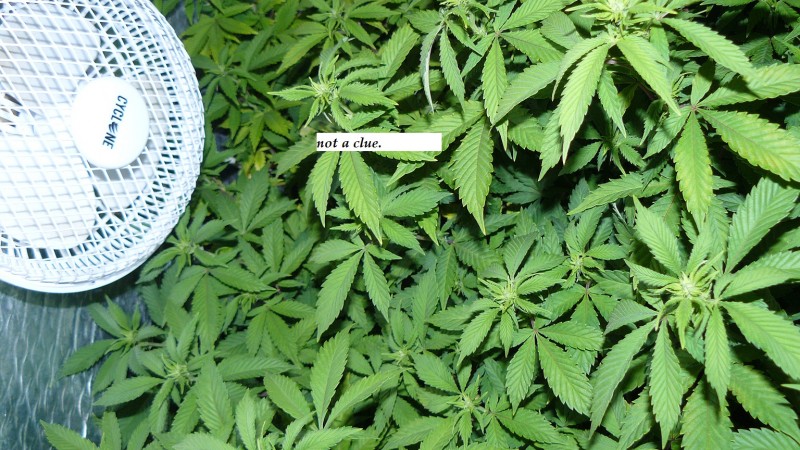 drobes 25 02 23 019