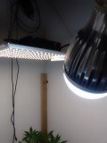 IMG_20230313_102843