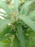 IMG_20230313_111311