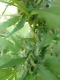 IMG_20230313_111247