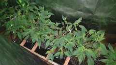 20190720_213105
