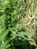 IMG_20230314_085221