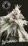 PhotoRoom-20230302_155047