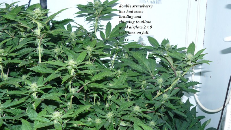 drobes 19 03 23 005