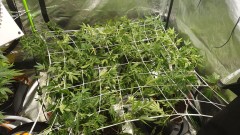 IMG-20190722-WA0026
