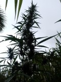 IMG_20230319_172918
