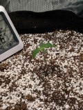 IMG_20190725_193959