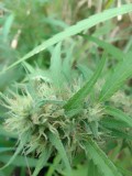 IMG_20230323_085023