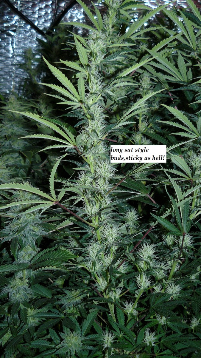 drobes 26 03 23 032
