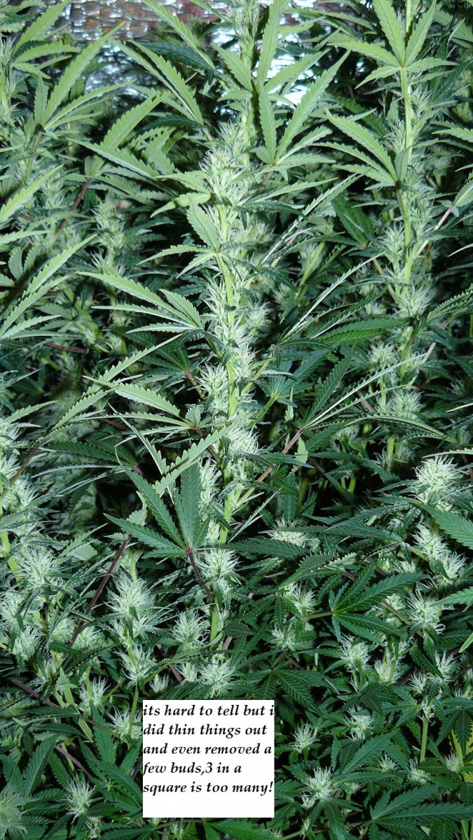 drobes 26 03 23 033