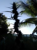 IMG_20230326_164716