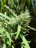 IMG_20230329_111458