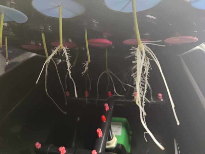 Time to plant