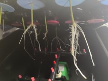 Time to plant