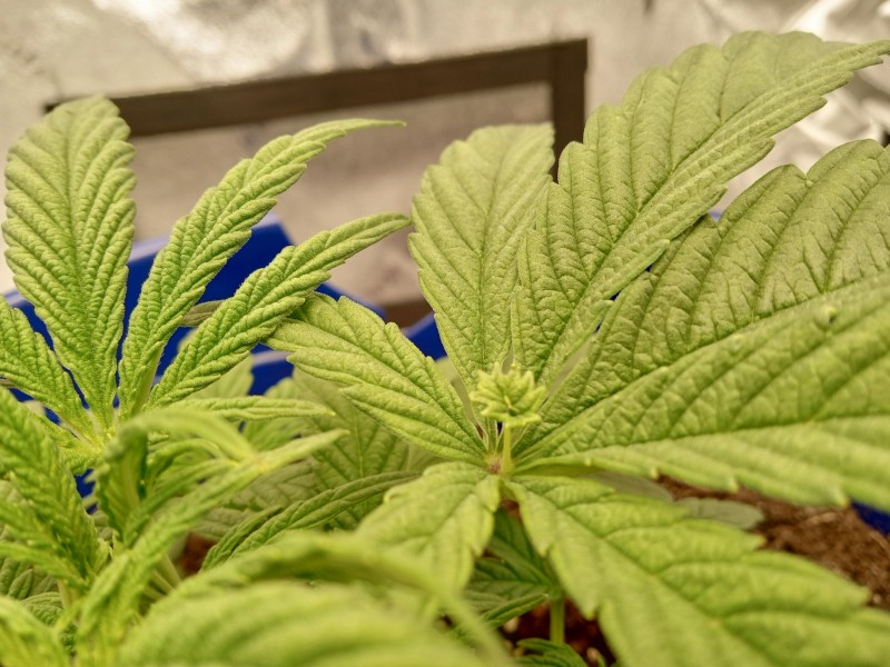 IMG_20230404_134042823_HDR