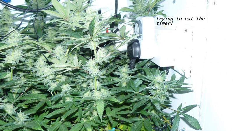 drobes 04 04 23 025