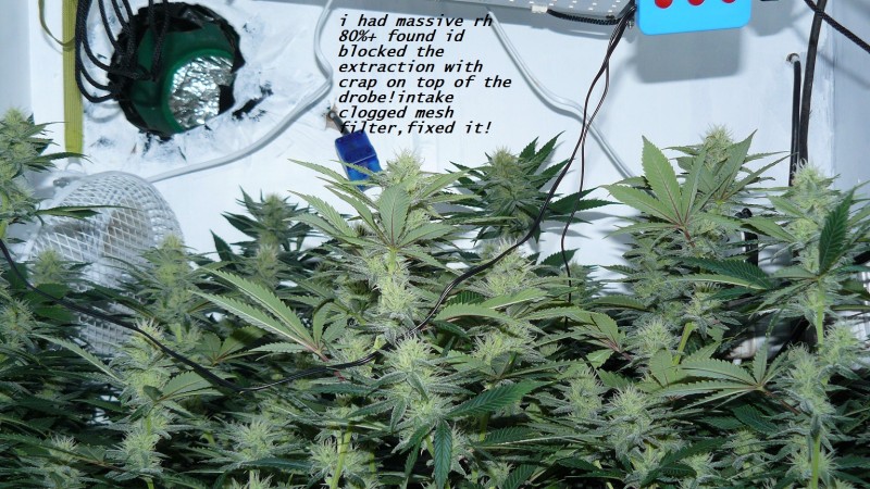 drobes 04 04 23 034