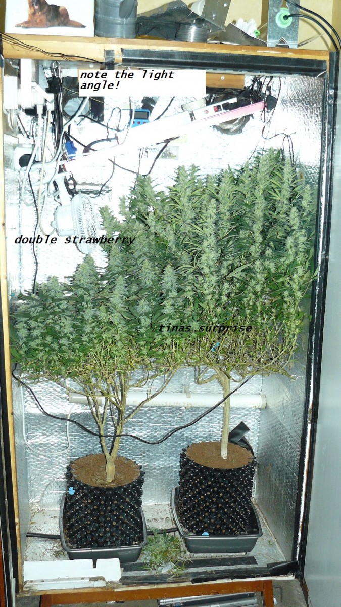 drobes 04 04 23 048