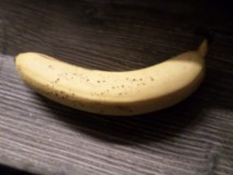 SAM_2881