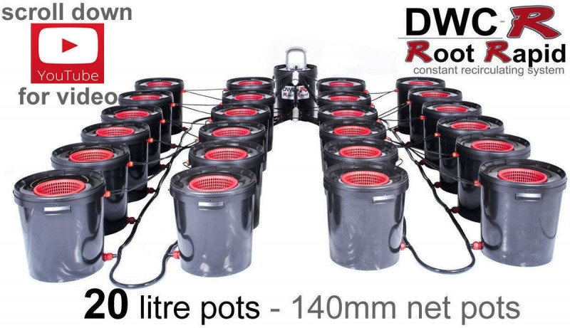  "dwc-r deep water culture ebay 24 pot review"