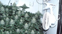 chair diag drobes etc 08 04 23 032