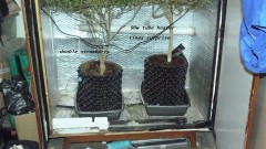 chair diag drobes etc 08 04 23 076