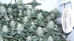 frontroom and drobes 11 04 23 013