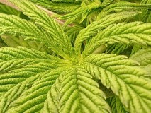 IMG_20230412_115908400