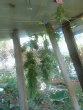 IMG_20230417_110607