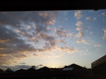 IMG_20230425_200653
