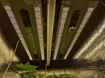 PXL_20230307_172211106