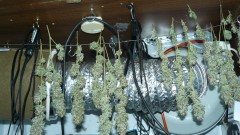 drobes nearly there! 006