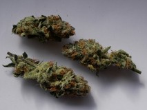 P1050731