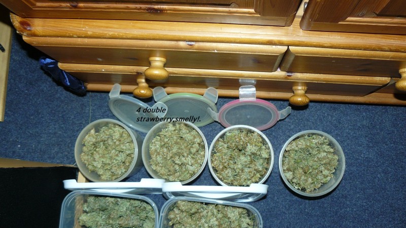 new drobes 009