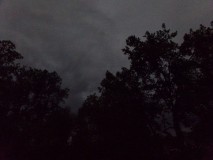 232_0969