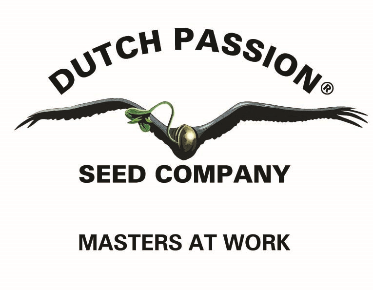 2016 dutch passion logo main