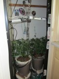 23days bloom on 23rd (6)