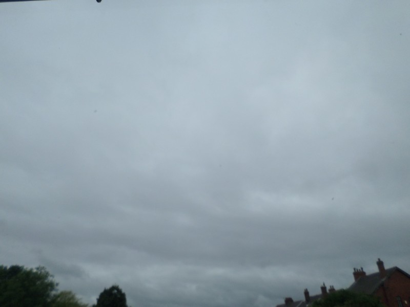 SAM_3249