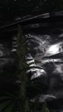 IMG-20190819-WA0026