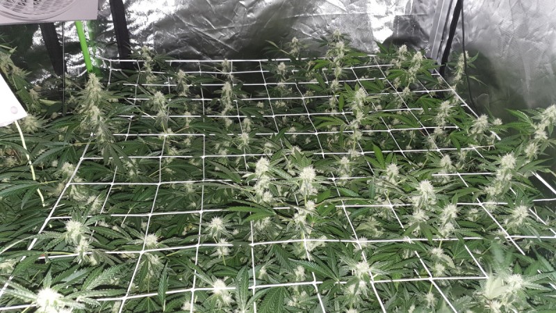 IMG-20190819-WA0035