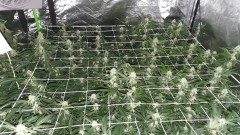 IMG-20190819-WA0035
