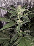 IMG_20190823_125633